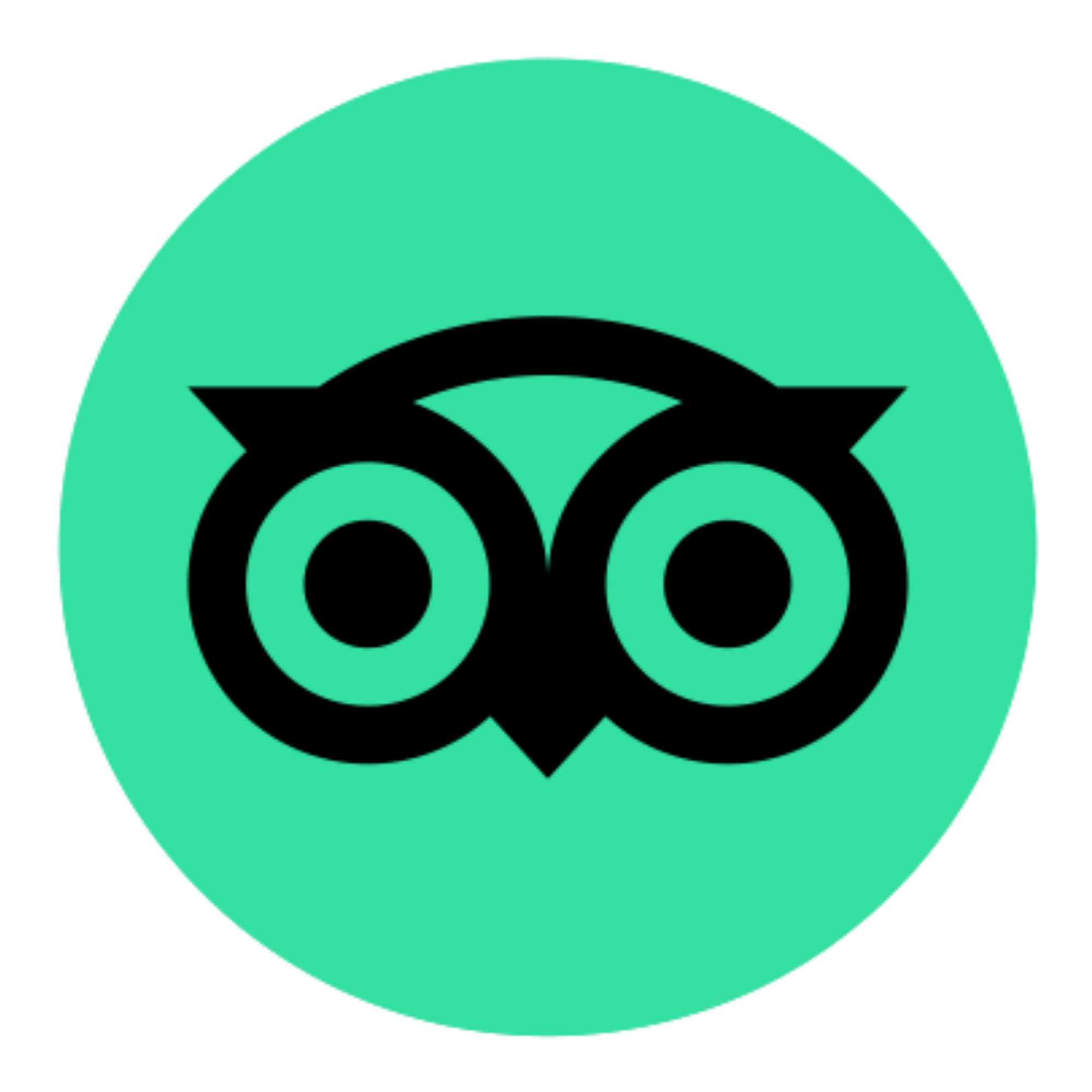 TripAdvisor
